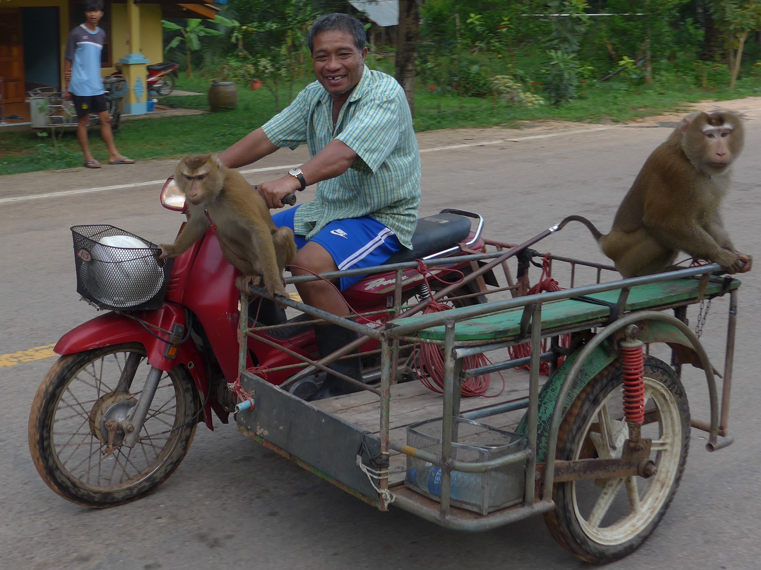 Photos from our South Thailand Cycling Holiday